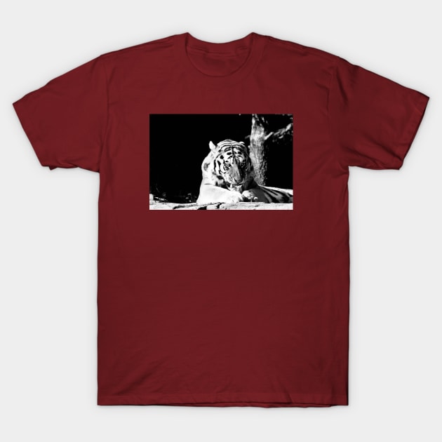 Year of the tiger 2022 - 4 T-Shirt by Wolf Art / Swiss Artwork Photography